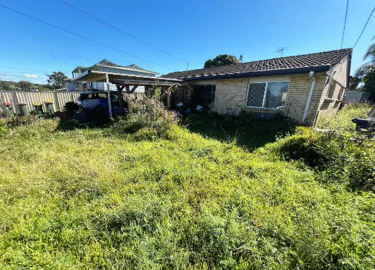 A backyard where the grass and weeds have grown waist high across the whole yard, up to the back of the house.