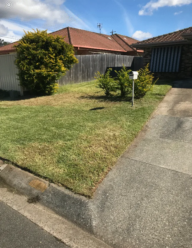The same front lawn mowed to an even height with the kerb edged, the footpath swept and the shrubs trimmed back.