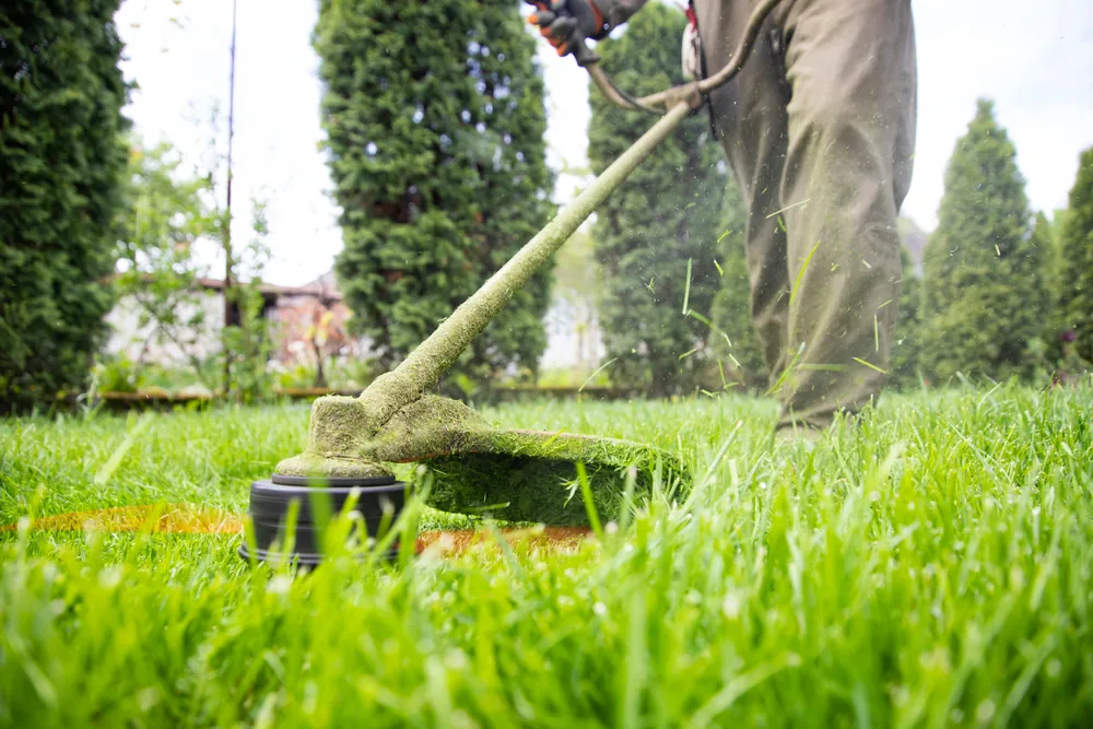 A Your Helpers gardener using a brush cutter along a garden edge.